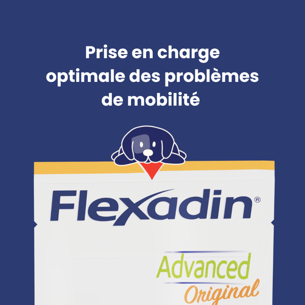 flexadin-advanced-original-2