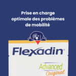 flexadin-advanced-original-2