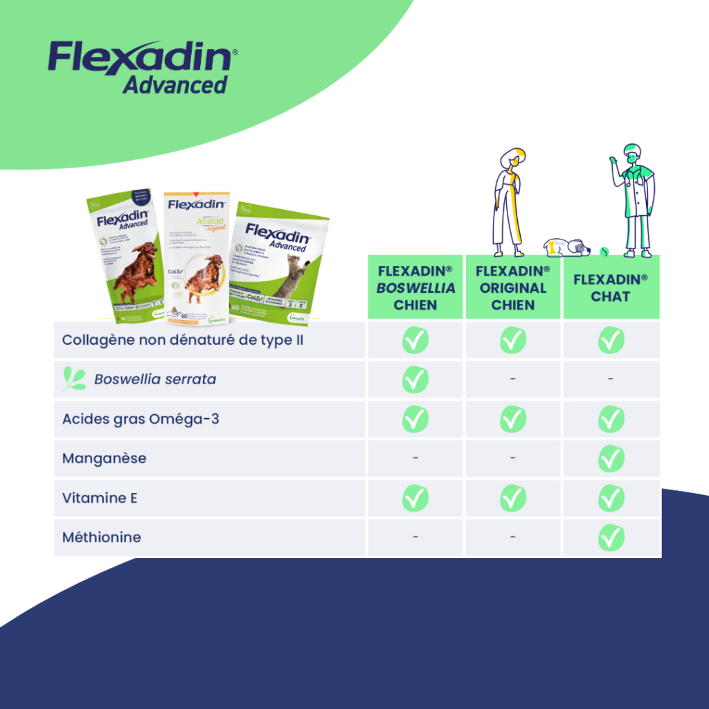 flexadin-advanced-original-4
