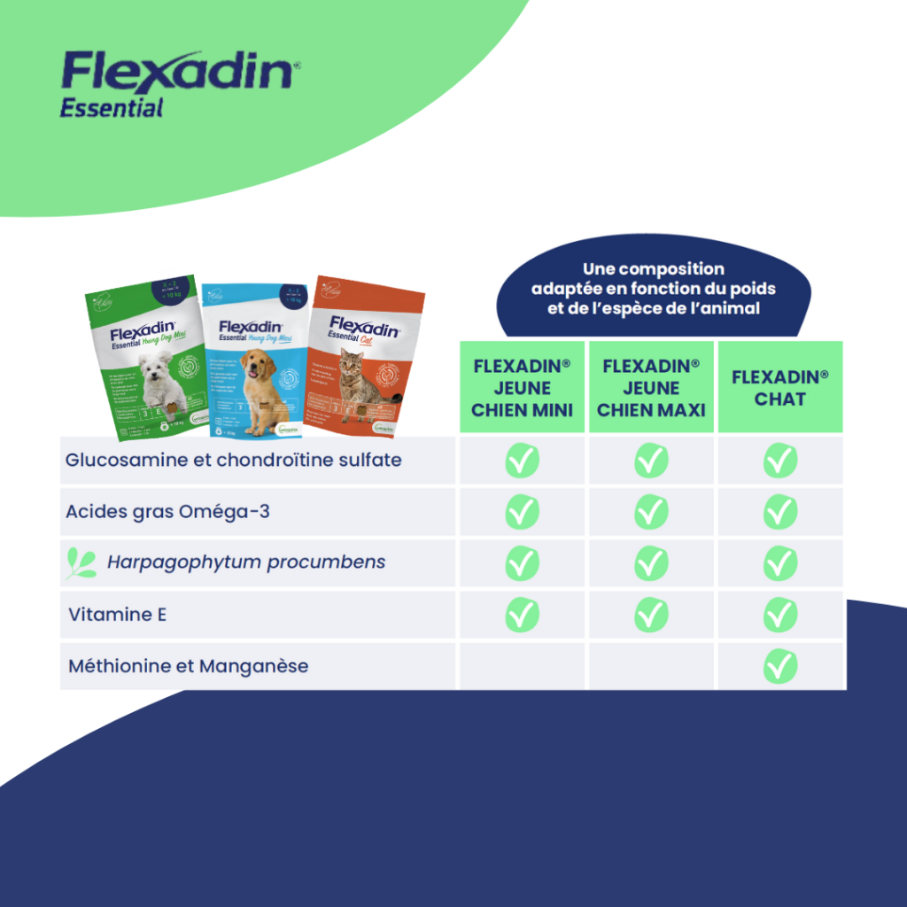 flexadin-essential-4