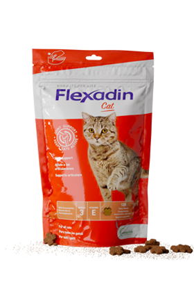 Flexadin Plus™ - Bouchées anti-arthrose pour chats et chiens