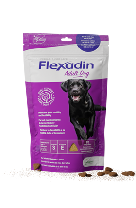 Flexadin chien adult 70 bouchées - Sensibilité articulaire