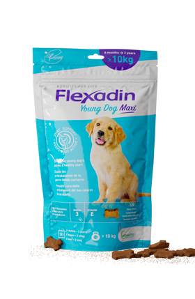 Complément alimentaire pour chien de plus de 10 kg Flexadin Plus