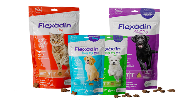 Flexadin chien adult 70 bouchées - Sensibilité articulaire